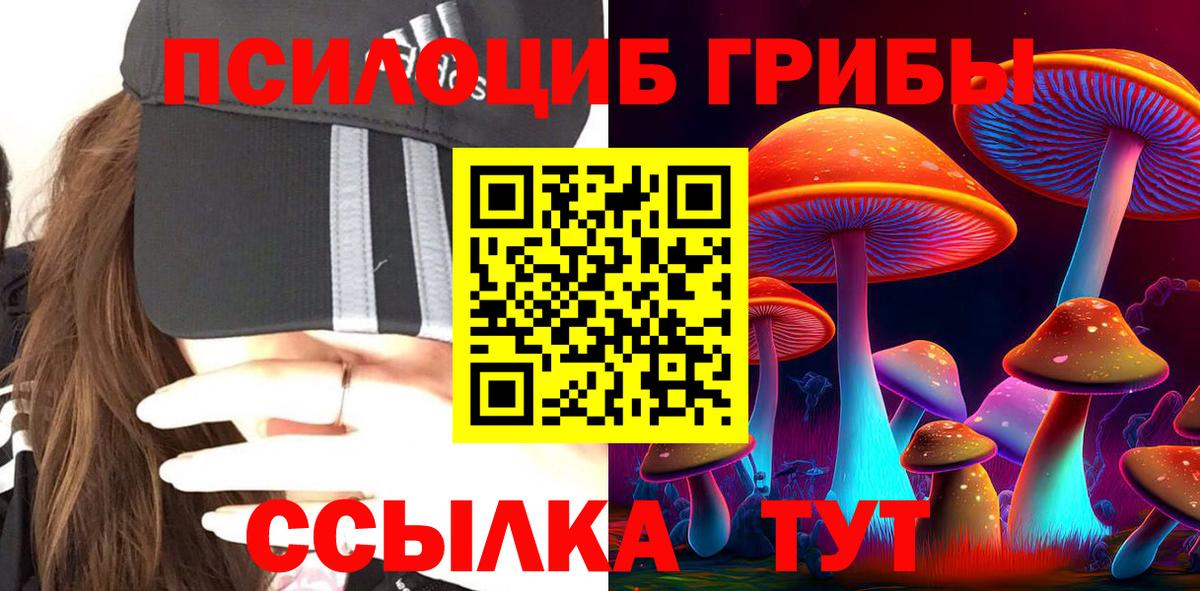 Галлюциногенные грибы Psilocybe Сосновоборск