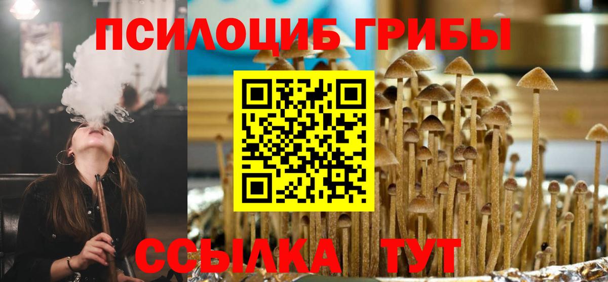 Сосновоборск  Галлюциногенные грибы MAGIC MUSHROOMS  Вход с VPN 
